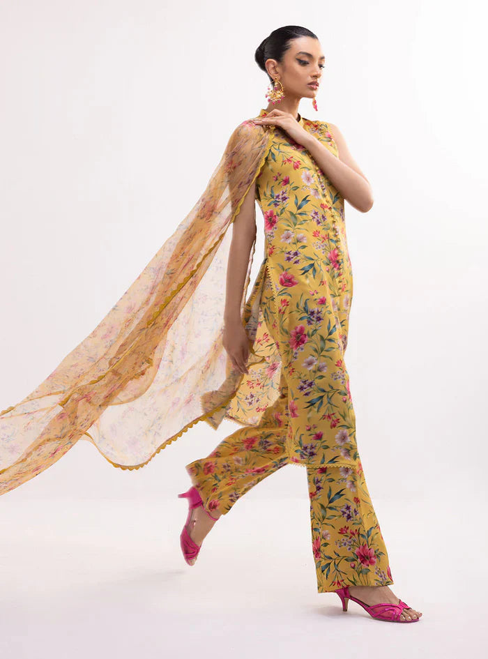 NARGIS-BG506