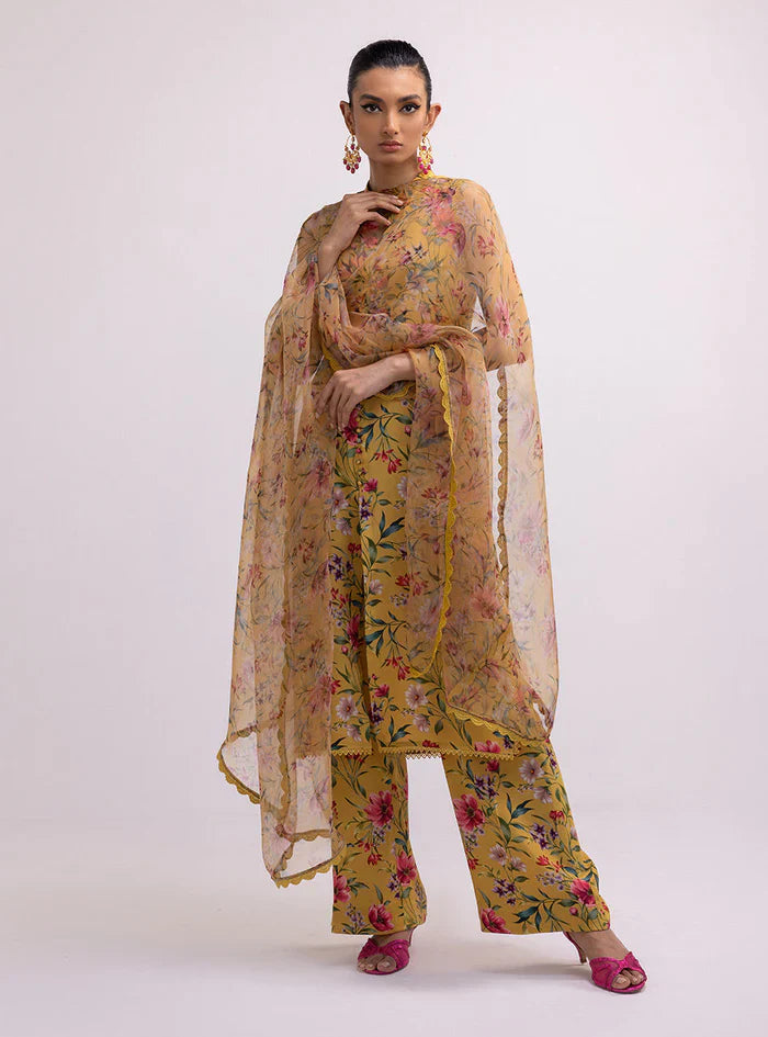 NARGIS-BG506