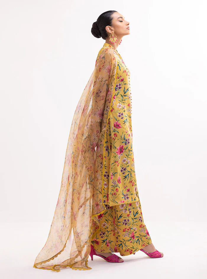 NARGIS-BG506