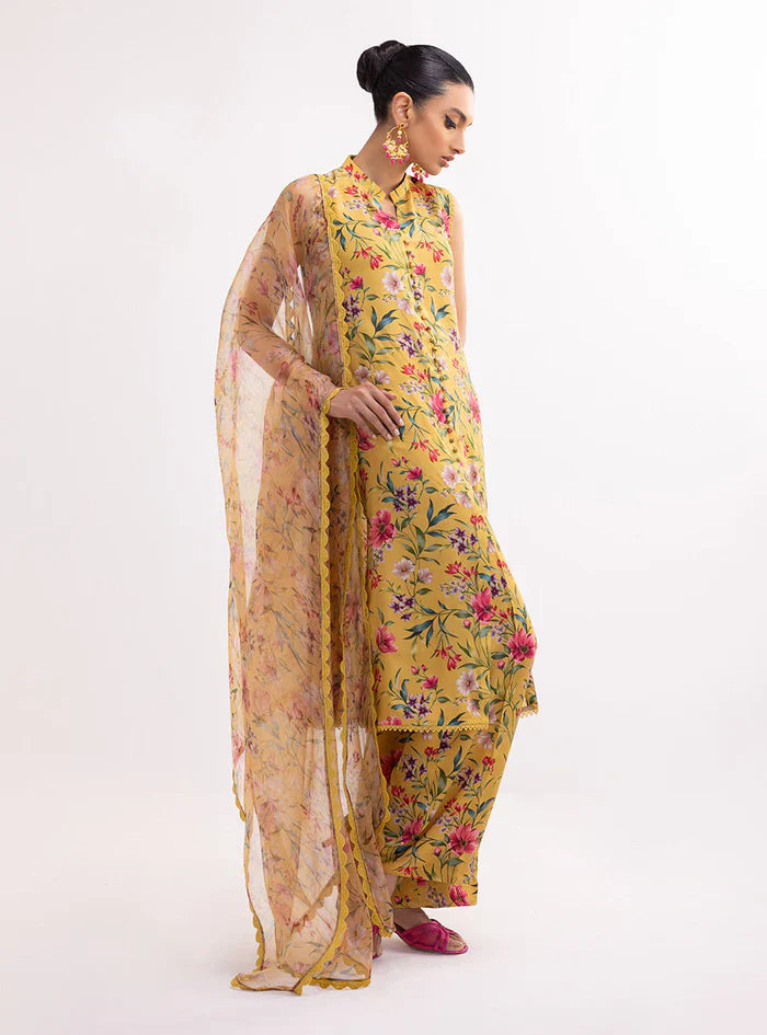 NARGIS-BG506