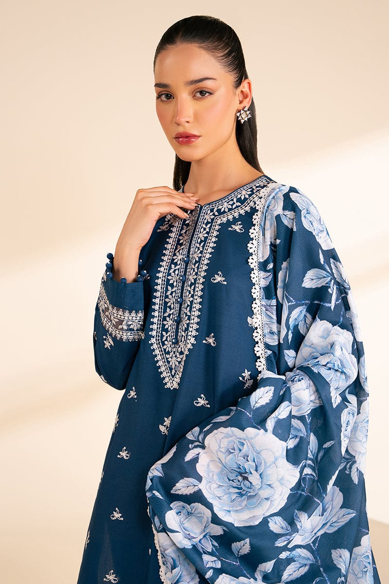 SAPPHIRE DHANAK 3 PC SUIT -BG239